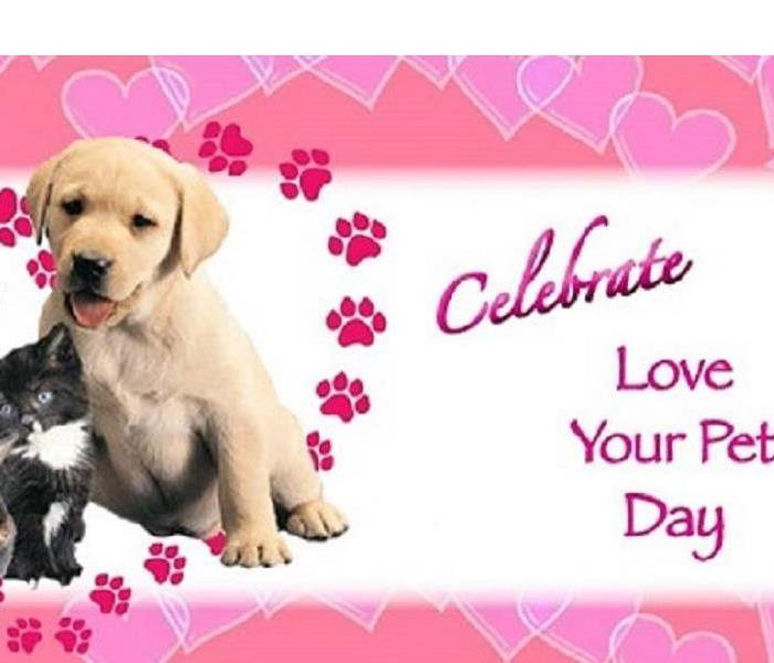 Celebrate your pets