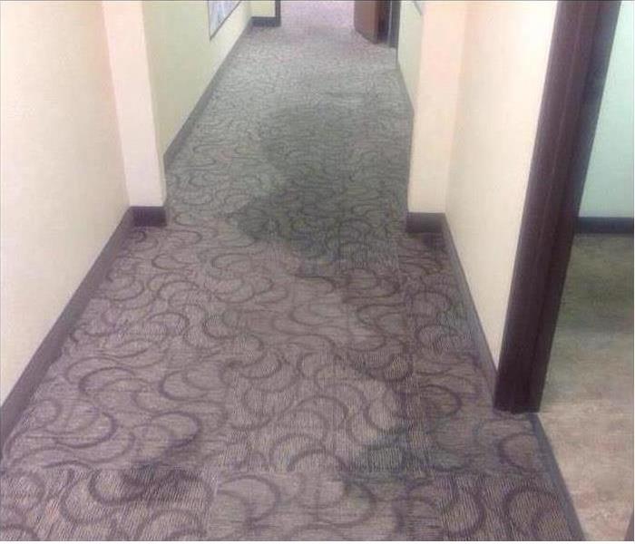  Wet commercial carpet